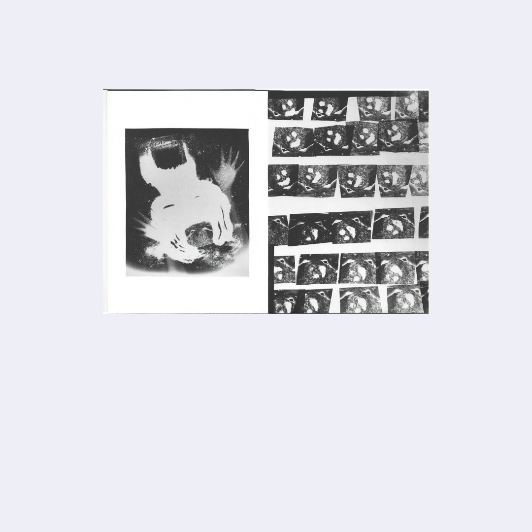 Artist Volumes Series (Issue 1, Fall 2023)