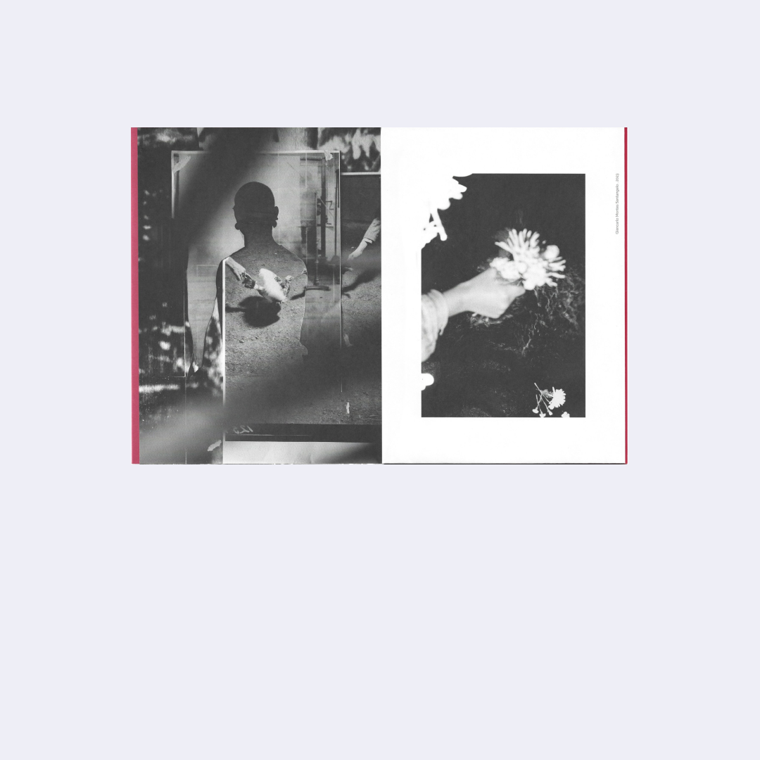 Artist Volumes Series (Issue 1, Fall 2023)