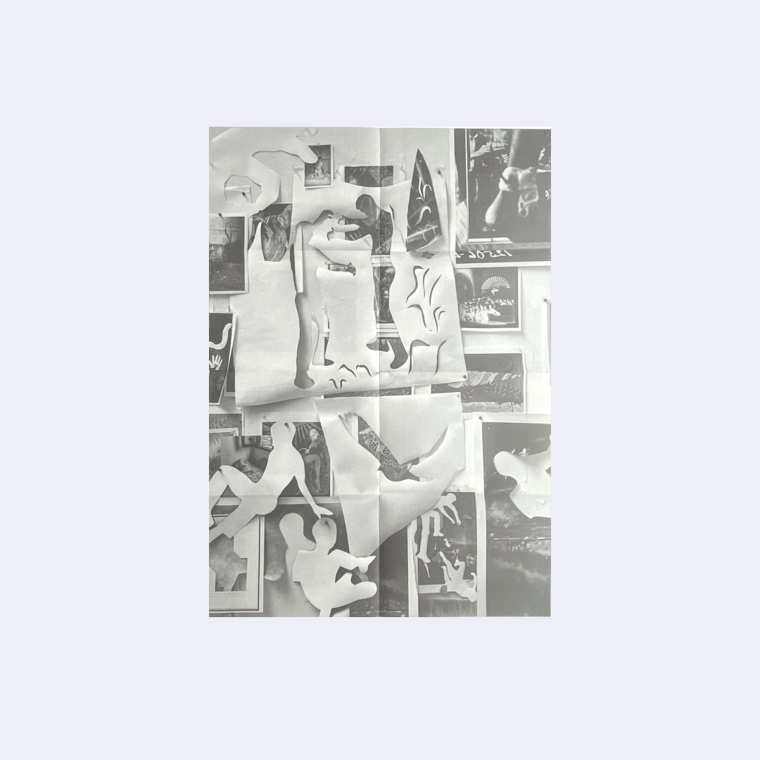 Artist Volumes Series (Issue 1, Fall 2023)