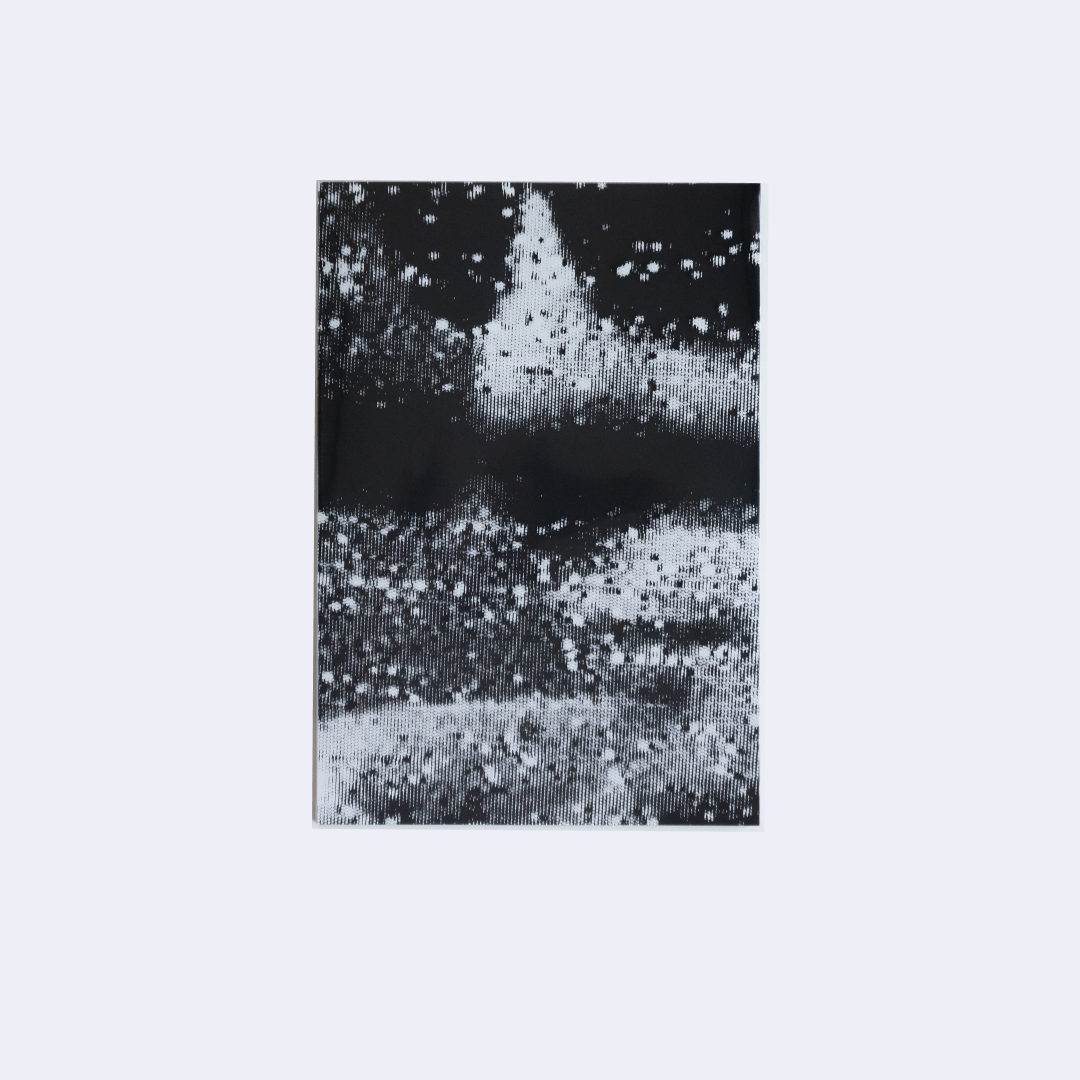 I know I exist because you imagine me – Gui Marcondes