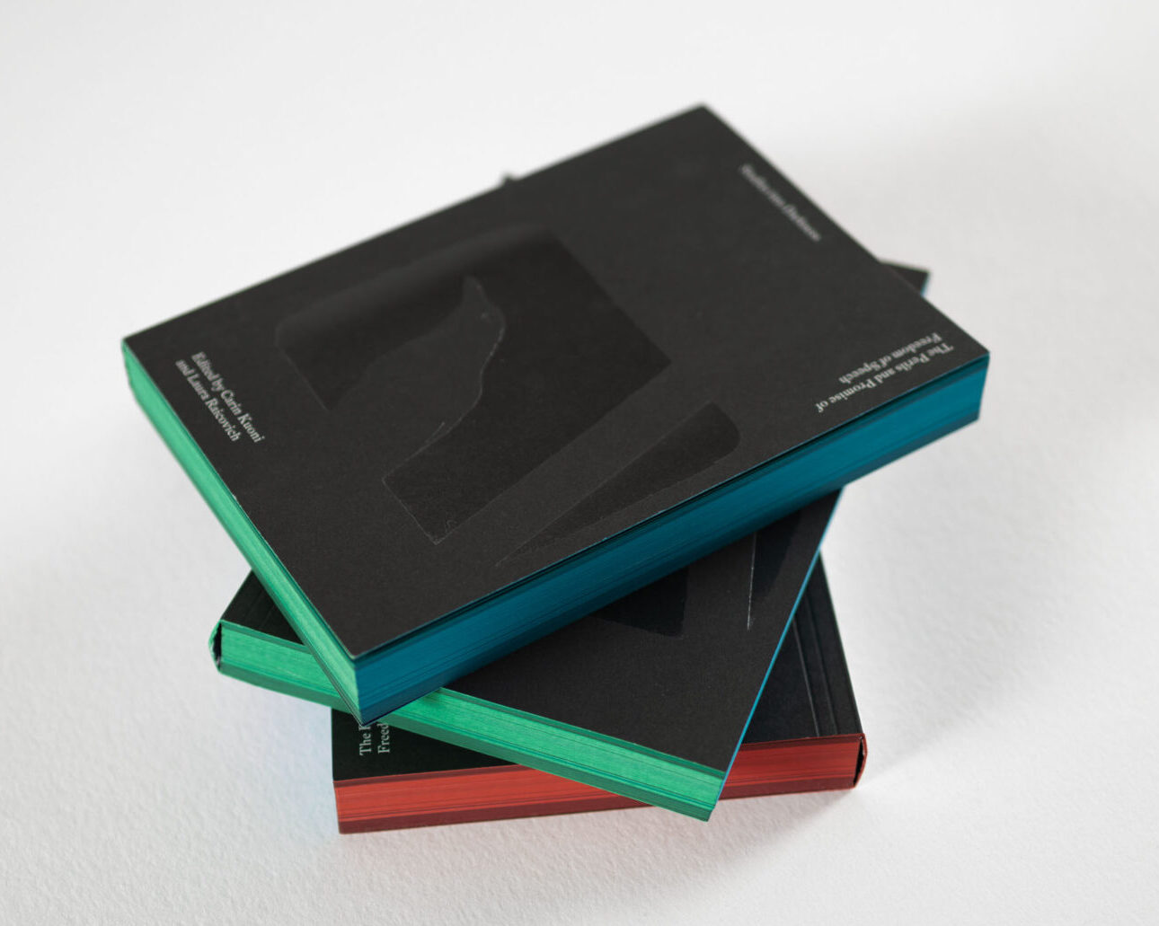 Studies into Darkness – Carin Kuoni, Laura Raicovich