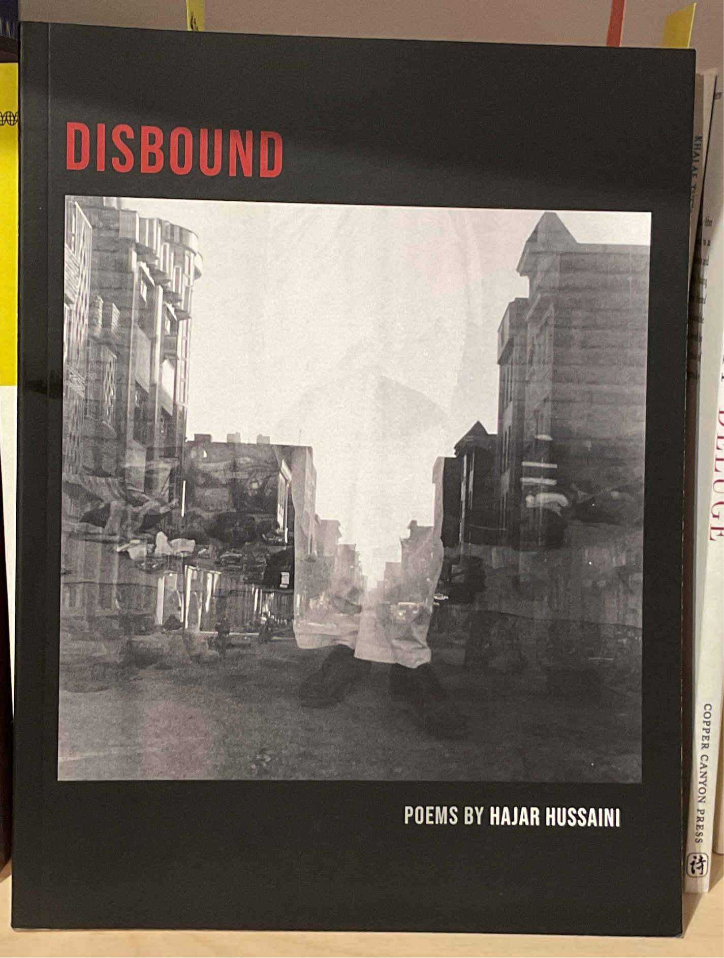 Disbound - Hajar Hussaini