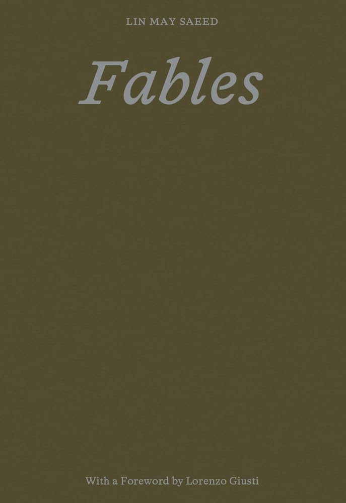 Lin May Saeed: Fables cover image