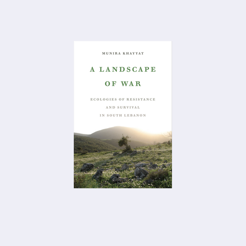 A landscape of war – Munira Khayyat • Archive