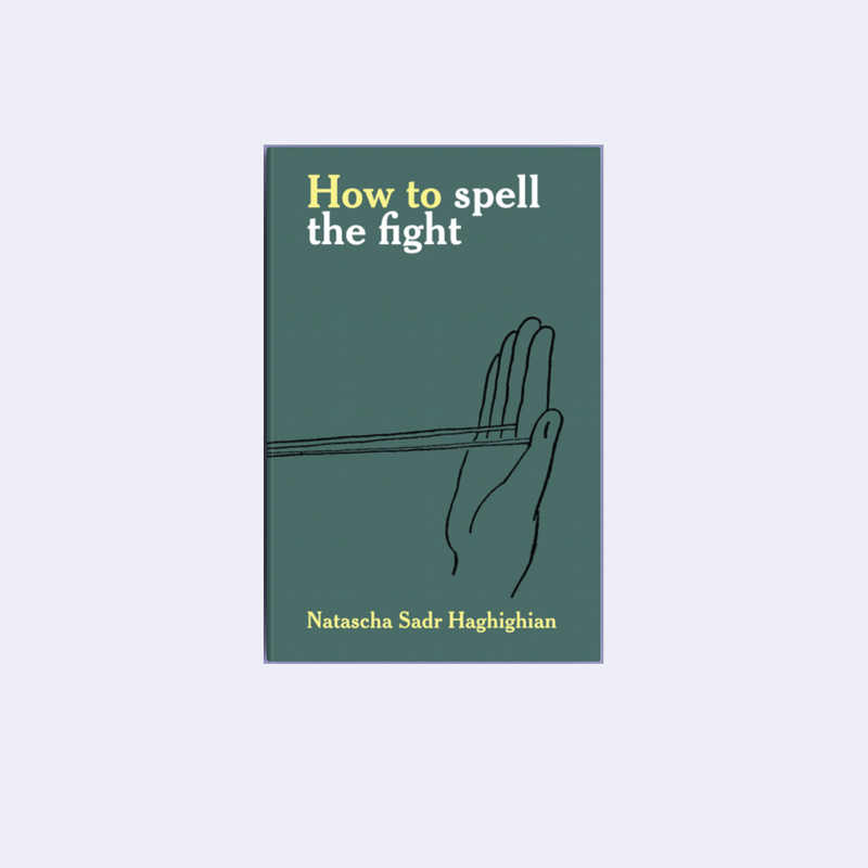 How to spell the fight – Natasha Sadr Haghighian • Archive
