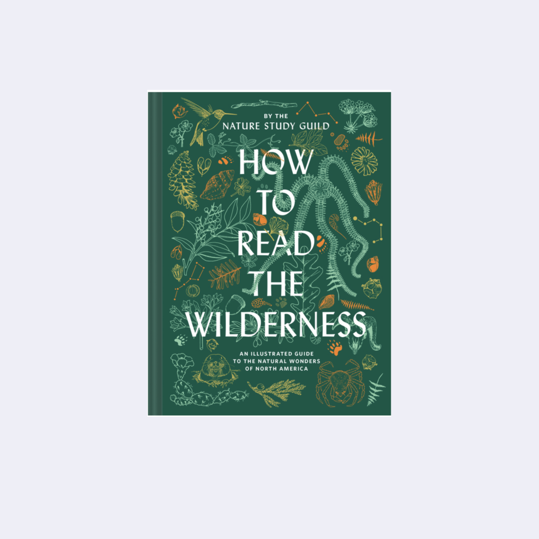 How to Read the Wilderness – Nature Study Guild
