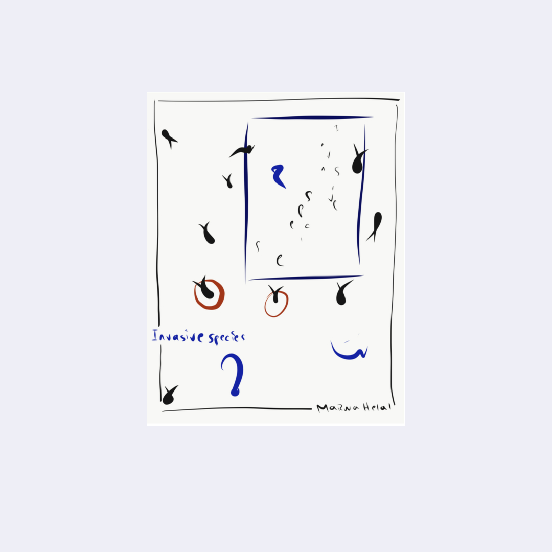 Invasive Species – Marwa Helal