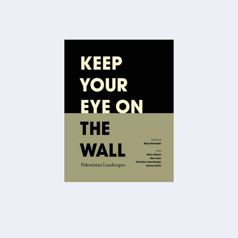 Keep Your Eye on the Wall: Palestinian Landscapes • Archive