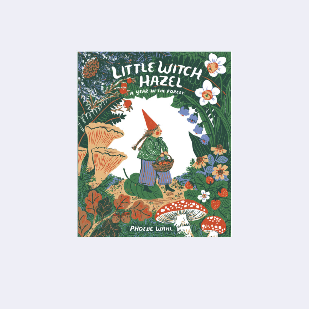 Little Witch Hazel, A Year in the Forest – Phoebe Walh