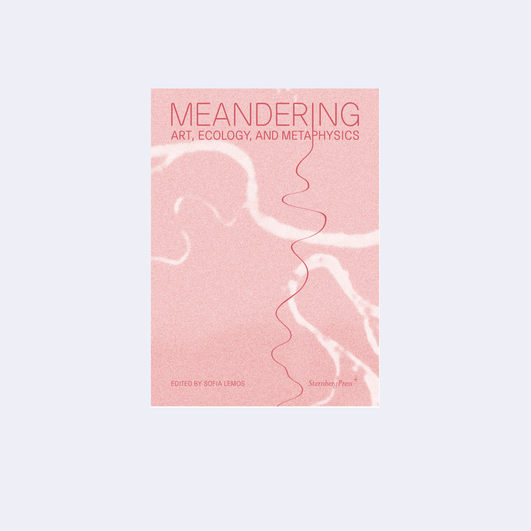 Meandering: Art, Ecology, and Metaphysics