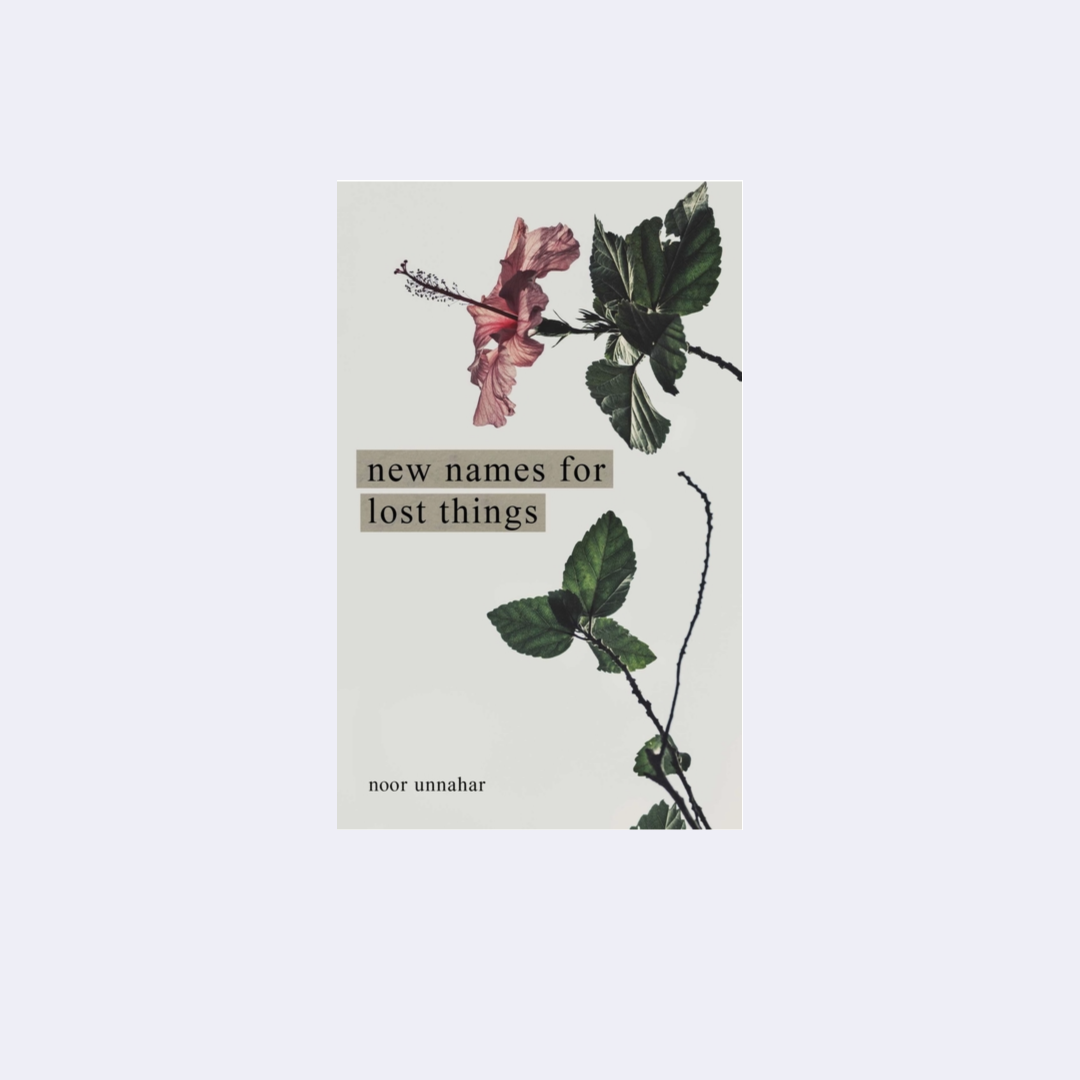 New Names for Lost Things – Noor Unnahar