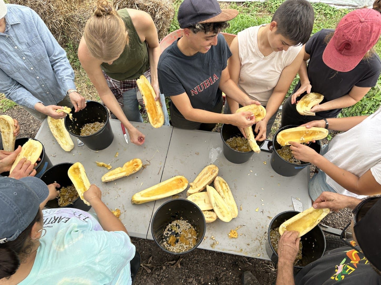 Nov 9 • Seed Stewarding with Iraqi Seed Collective