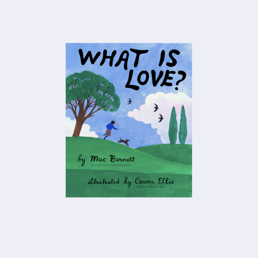 What is Love – Mac Barnett