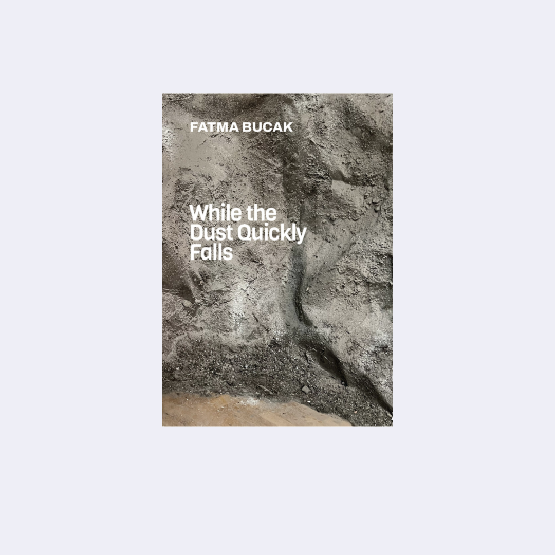 While the Dust Quickly Falls – Fatma Bucak