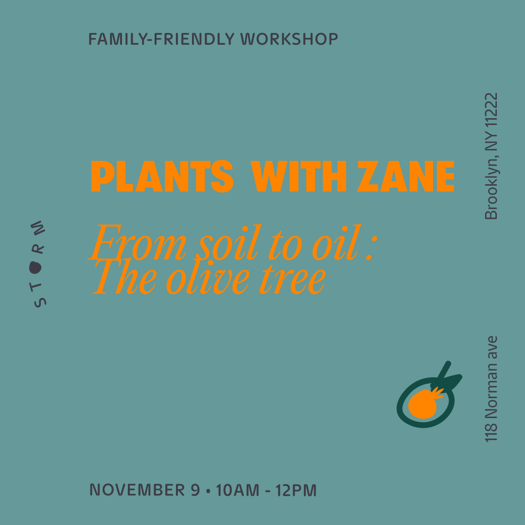 Nov 9 • Plant Series: The Olive Tree with Zane Elias